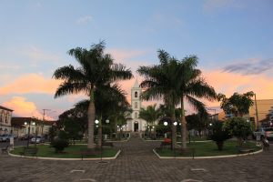 cana verde minas gerais